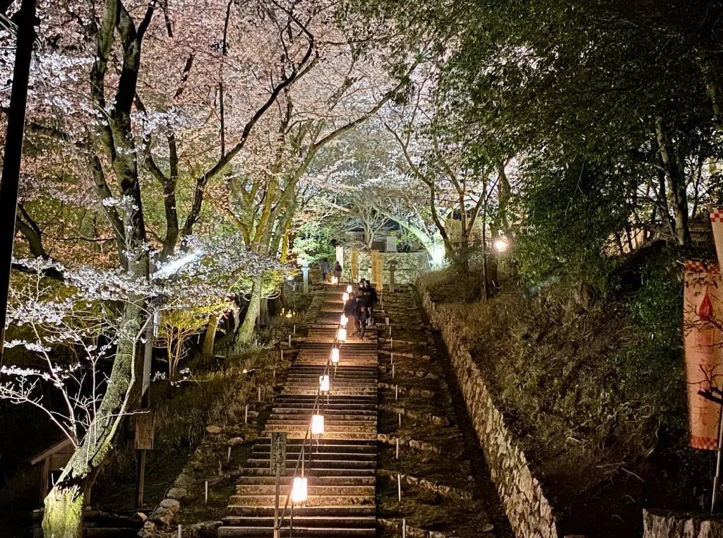 🏯 원성사(온조지) - 미이데라 이미지 9